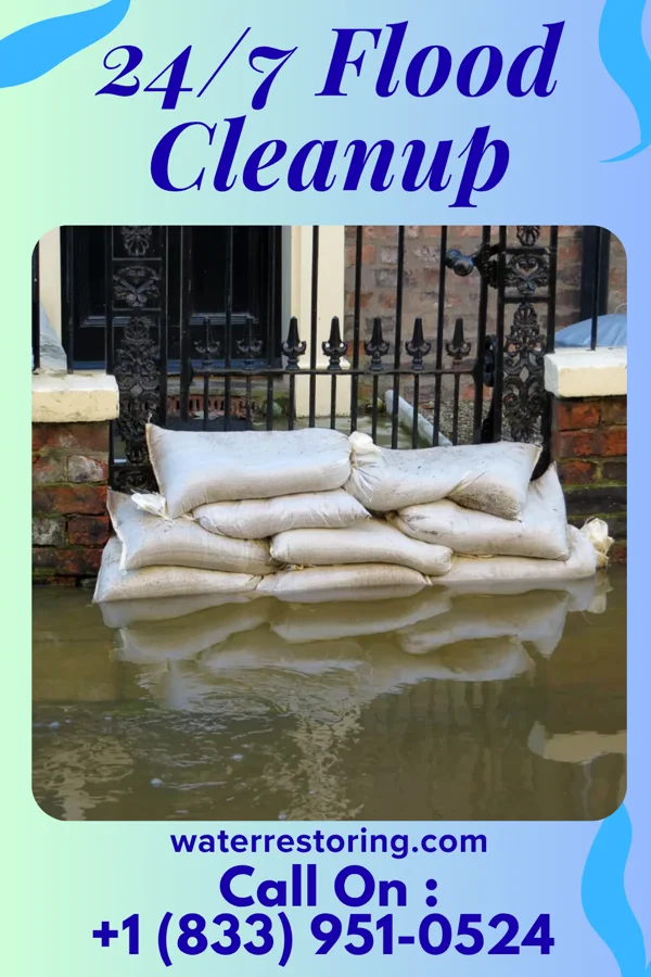 24/7 Flood Cleanup in Alapaha, GA
