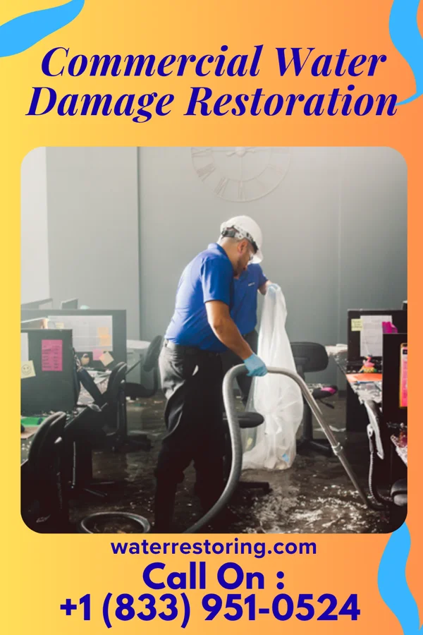 Commercial Water Damage Restoration in Alapaha, GA