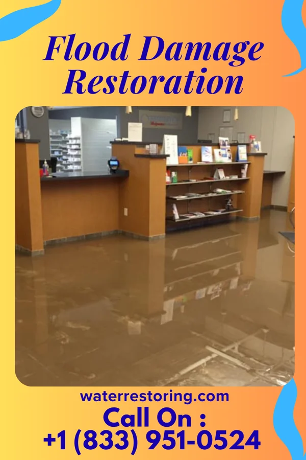 Flood Damage Restoration in Alapaha, GA