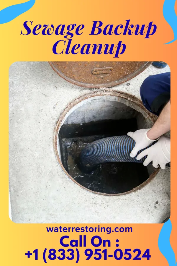 Sewage Backup Cleanup in Alapaha, GA