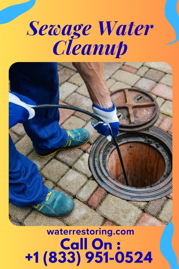 Sewage Water Cleanup in Alapaha, GA